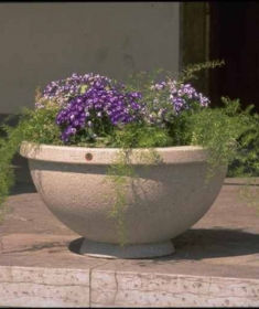 Cosmoarredo