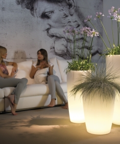 Talos light