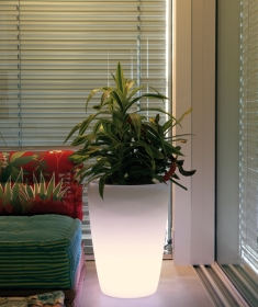 Tylus light