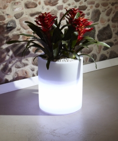 Echo light